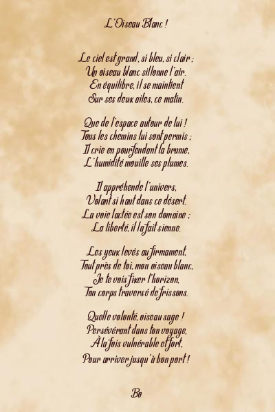 Le poème en image: L’oiseau Blanc !