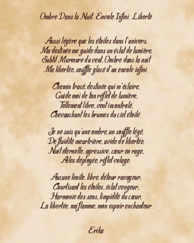 Le poème en image: Ombre Dans La Nuit. Envole Infini. Liberté