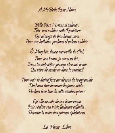 Le poème en image: À Ma Belle Rose Noire
