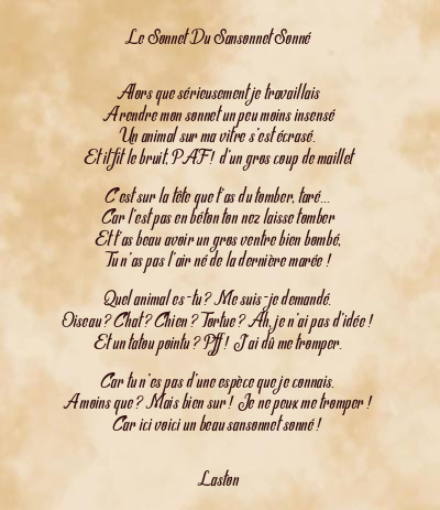 Le poème en image: Le Sonnet Du Sansonnet Sonné