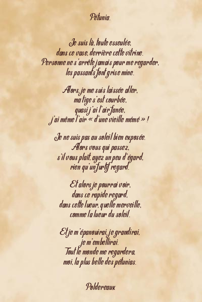 Le poème en image: Pétunia.