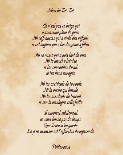 Le poème en image: Mouche Tsé-Tsé.