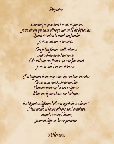Le poème en image: Bégonias.