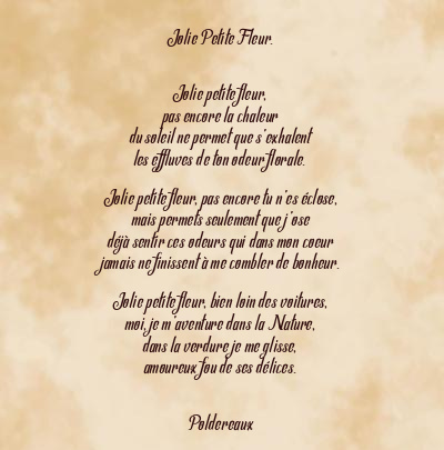 Le poème en image: Jolie Petite Fleur.