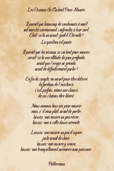 Le poème en image: Les Oiseaux Se Cachent Pour Mourir.