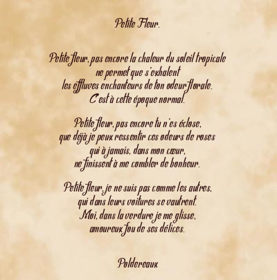 Le poème en image: Petite Fleur.