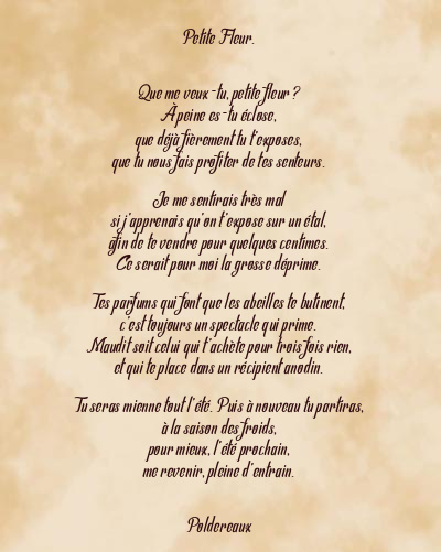Le poème en image: Petite Fleur.