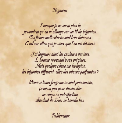 Le poème en image: Bégonias.