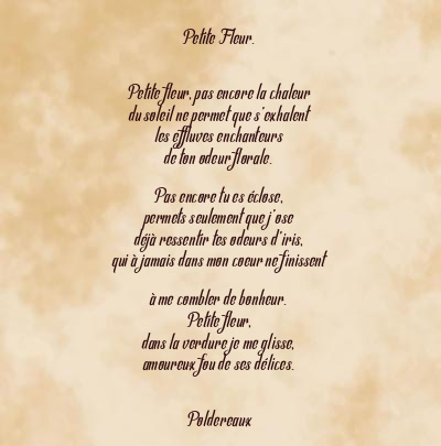 Le poème en image: Petite Fleur.