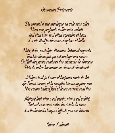 Le poème en image: Souvenirs Préservés