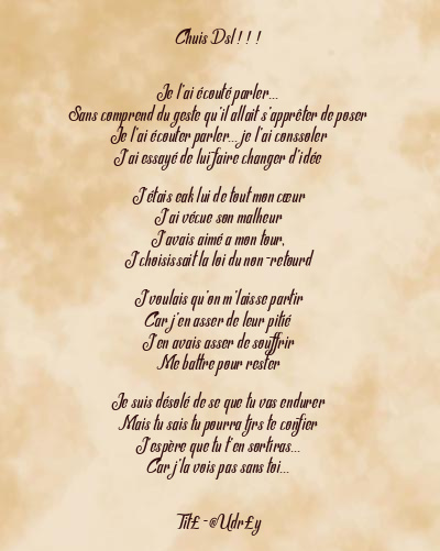 Le poème en image: Chuis Dsl ! ! !