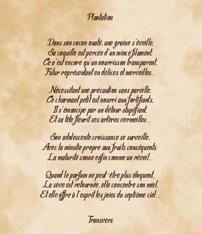 Le poème en image: Plantation