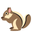 🐿️