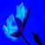 Poeme de Philippe Yelle