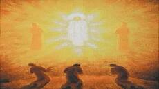 Auteur Dmt667Amzvchrist