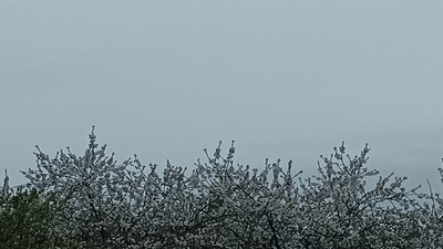 Timothé Omallet auteur et membre du site de poèmes